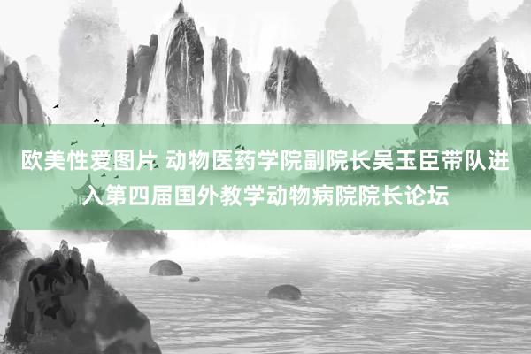 欧美性爱图片 动物医药学院副院长吴玉臣带队进入第四届国外教学动物病院院长论坛