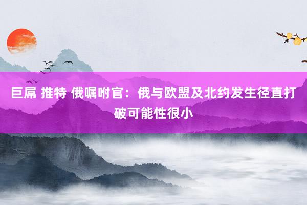 巨屌 推特 俄嘱咐官：俄与欧盟及北约发生径直打破可能性很小