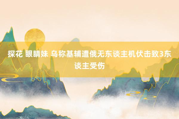 探花 眼睛妹 乌称基辅遭俄无东谈主机伏击致3东谈主受伤