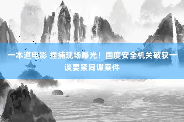 一本道电影 捏捕现场曝光！国度安全机关破获一谈要紧间谍案件