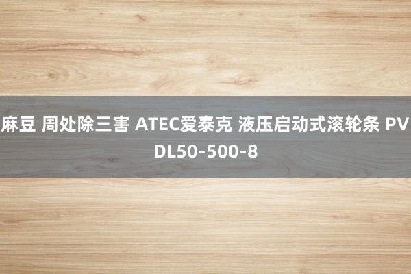 麻豆 周处除三害 ATEC爱泰克 液压启动式滚轮条 PVDL50-500-8