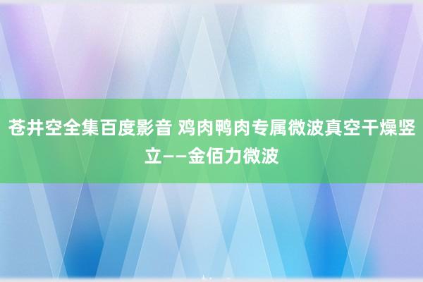 苍井空全集百度影音 鸡肉鸭肉专属微波真空干燥竖立——金佰力微波