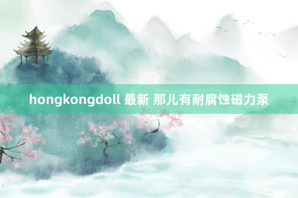hongkongdoll 最新 那儿有耐腐蚀磁力泵