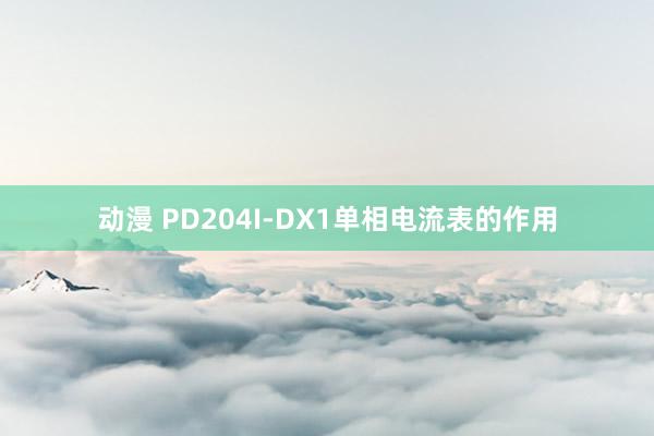 动漫 PD204I-DX1单相电流表的作用