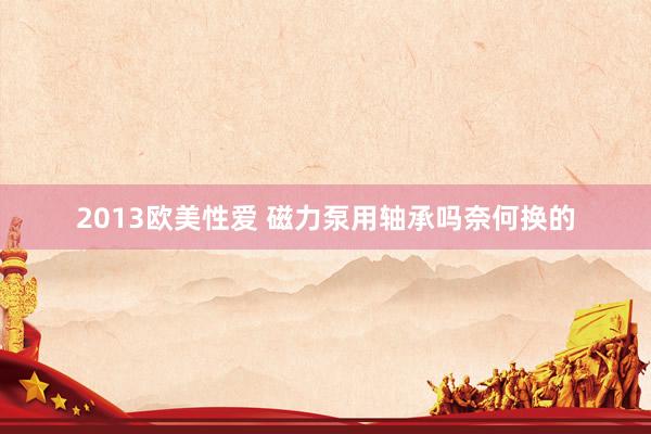 2013欧美性爱 磁力泵用轴承吗奈何换的
