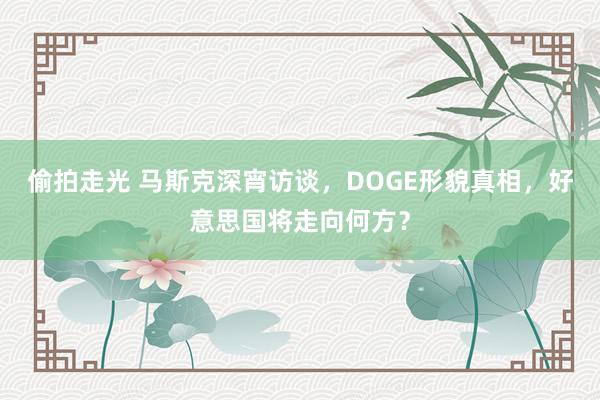 偷拍走光 马斯克深宵访谈，DOGE形貌真相，好意思国将走向何方？