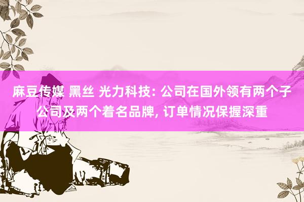 麻豆传媒 黑丝 光力科技: 公司在国外领有两个子公司及两个着名品牌, 订单情况保握深重