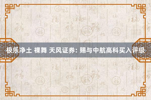 极乐净土 裸舞 天风证券: 赐与中航高科买入评级