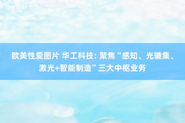 欧美性爱图片 华工科技: 聚焦“感知、光辘集、激光+智能制造”三大中枢业务