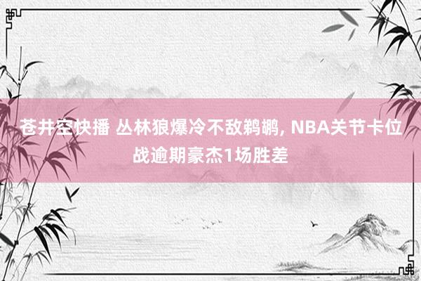 苍井空快播 丛林狼爆冷不敌鹈鹕, NBA关节卡位战逾期豪杰1场胜差