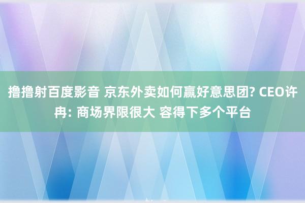 撸撸射百度影音 京东外卖如何赢好意思团? CEO许冉: 商场界限很大 容得下多个平台