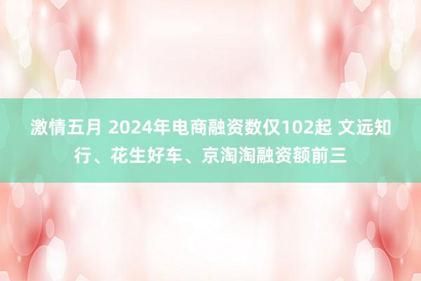 激情五月 2024年电商融资数仅102起 文远知行、花生好车、京淘淘融资额前三