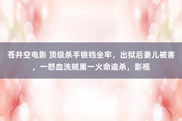 苍井空电影 顶级杀手锒铛坐牢，出狱后妻儿被害，一怒血洗贼巢一火命追杀，影视