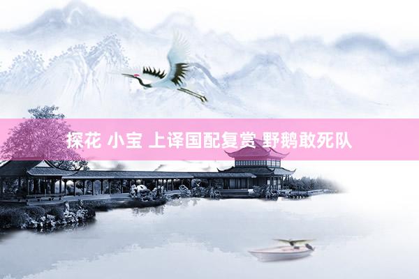 探花 小宝 上译国配复赏 野鹅敢死队